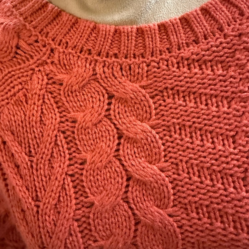 Time and Tru Women's Cable Knit Sweater - Rust - Picture 4 of 5